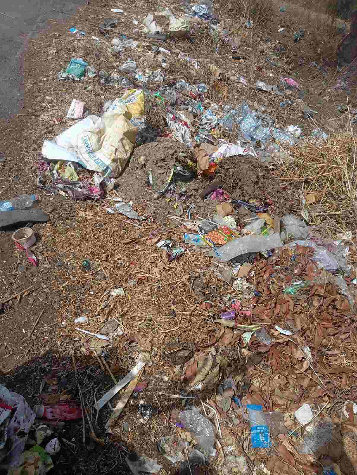 अल्लीपूर स्वागत प्रवेशद्वाराजवळ कचऱ्याचे ढीग; ग्रामपंचायतीच्या दुर्लक्षामुळे नागरिक संतप्त